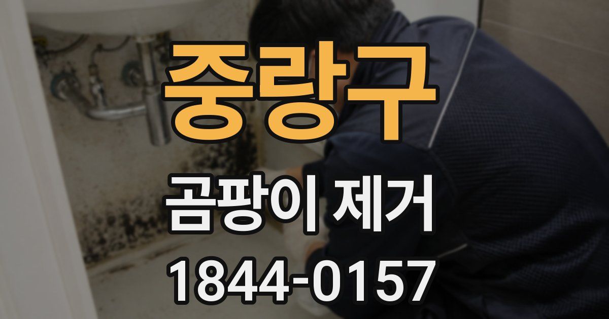 중랑구 곰팡이 제거