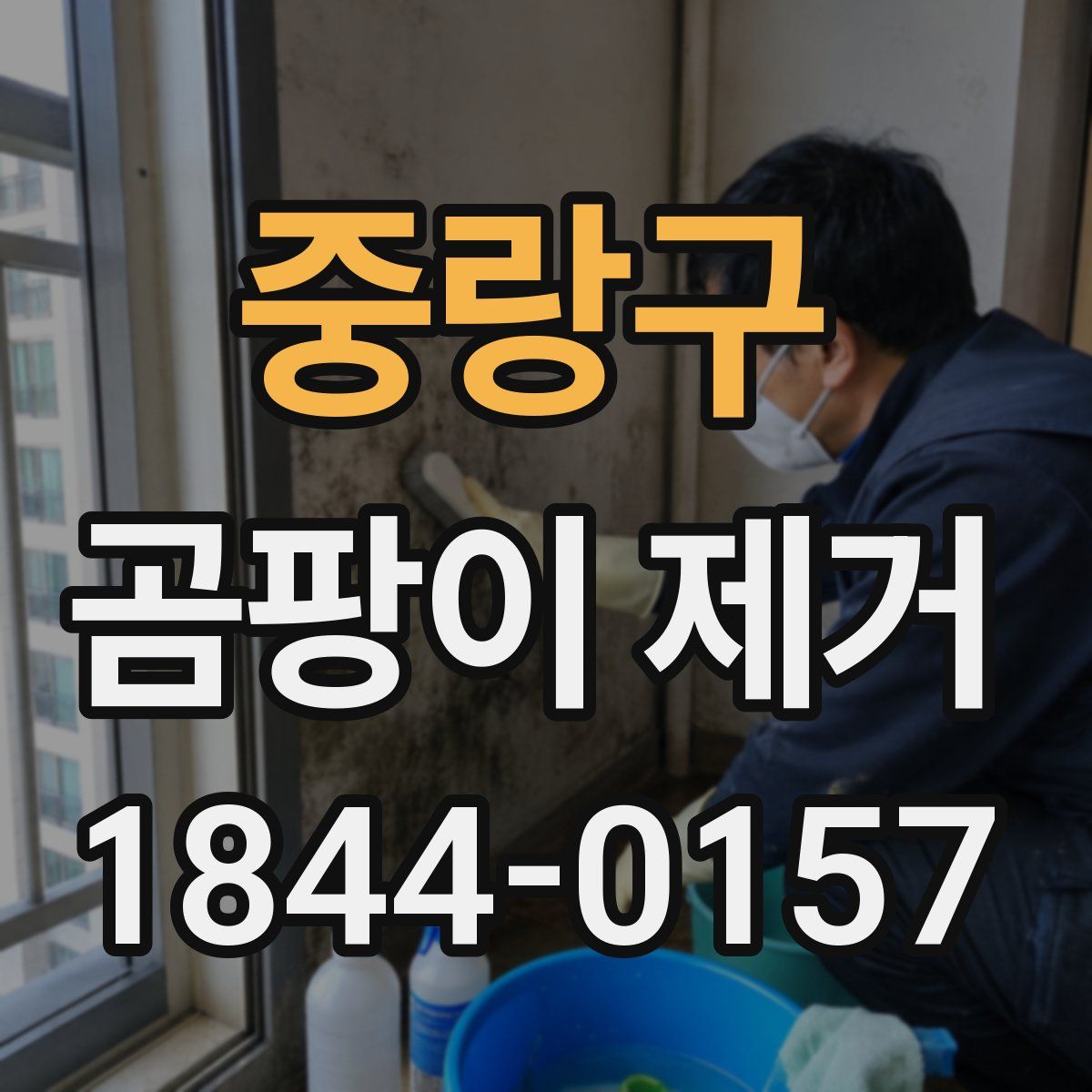 중랑구 곰팡이 제거