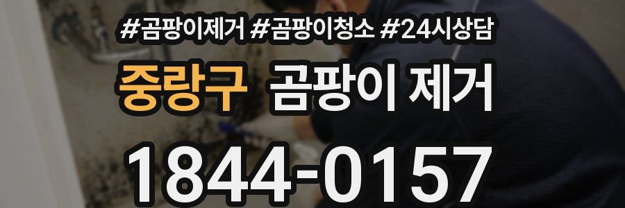 중랑구 곰팡이 제거
