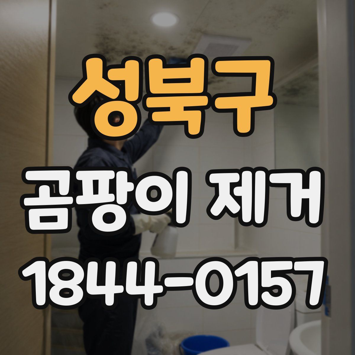 성북구 곰팡이 제거
