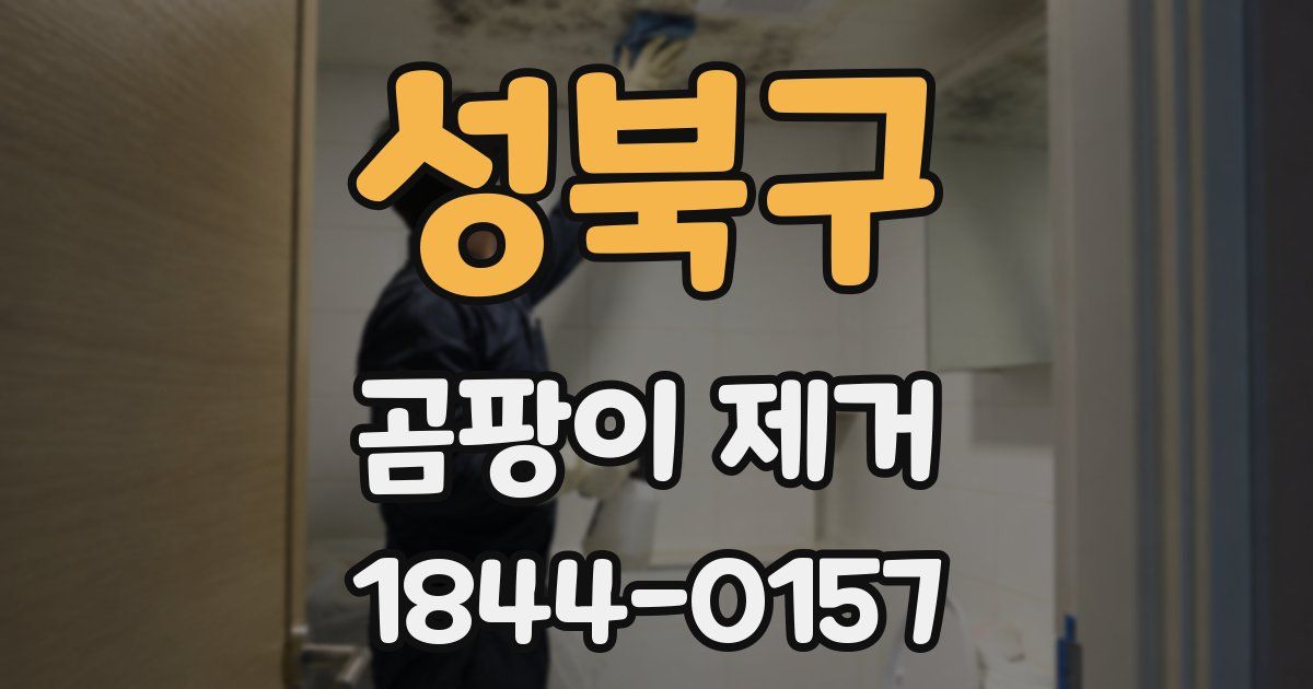 성북구 곰팡이 제거