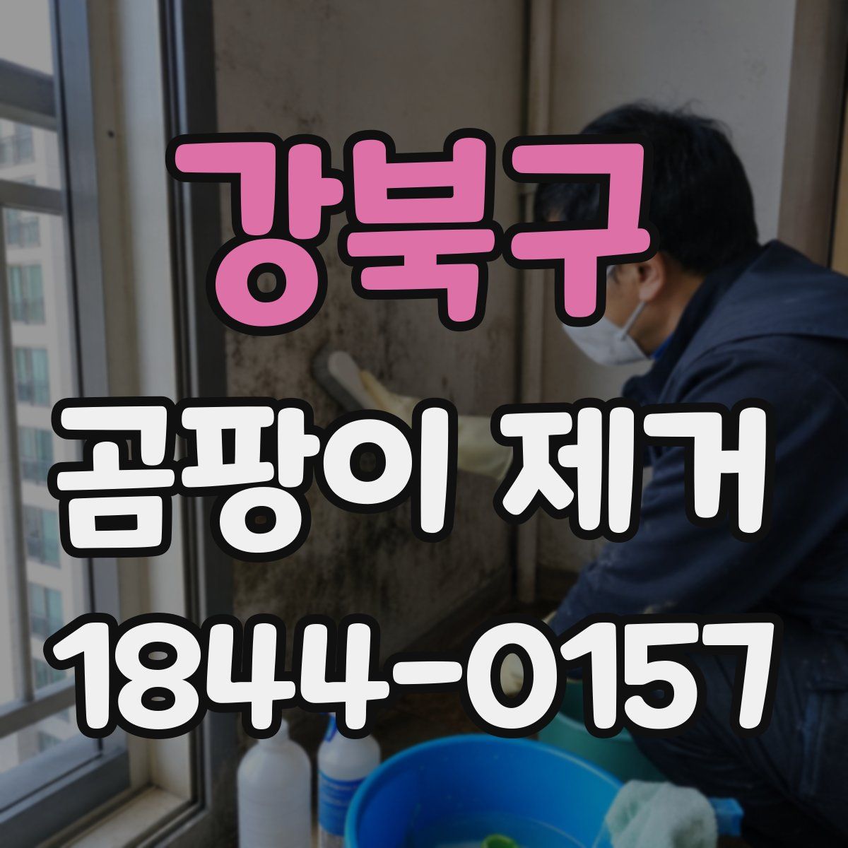 강북구 곰팡이 제거
