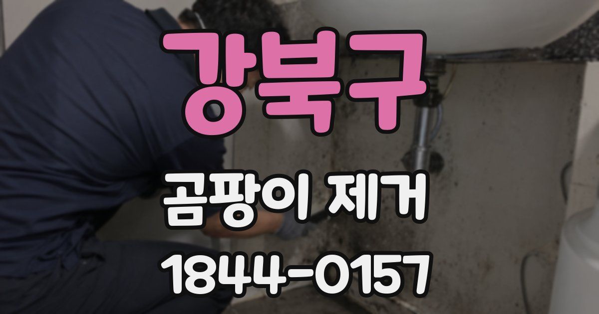 강북구 곰팡이 제거
