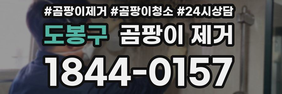 도봉구 곰팡이 제거