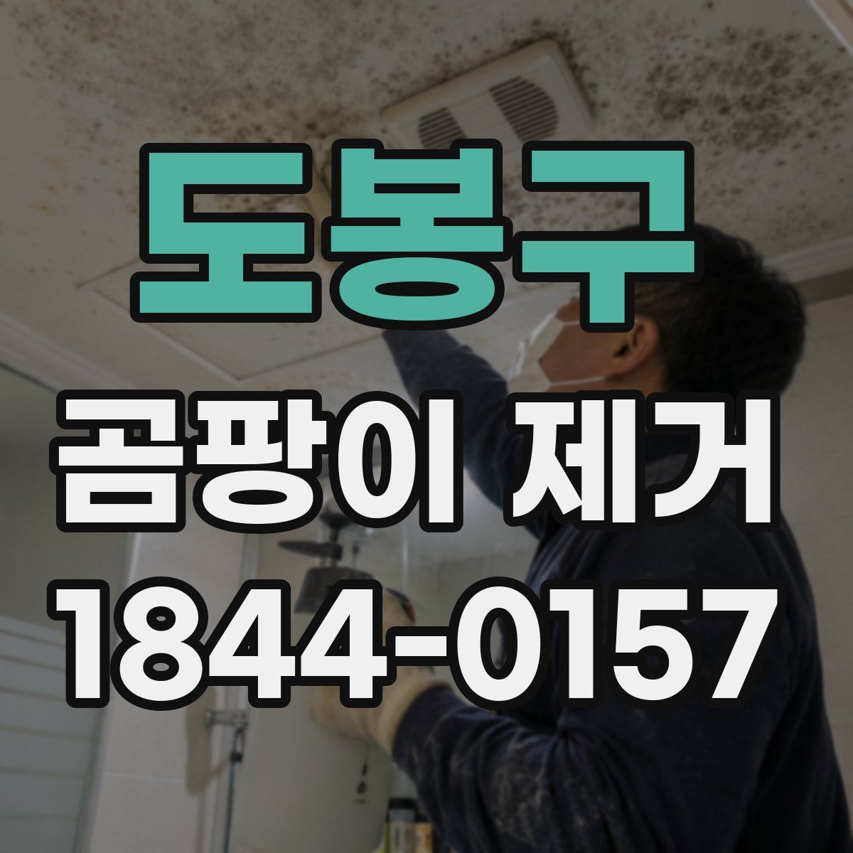 도봉구 곰팡이 제거