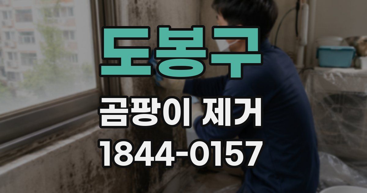 도봉구 곰팡이 제거