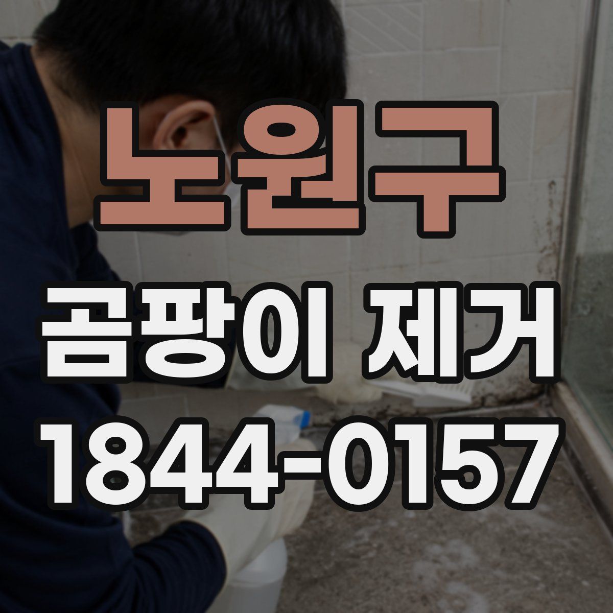 노원구 곰팡이 제거
