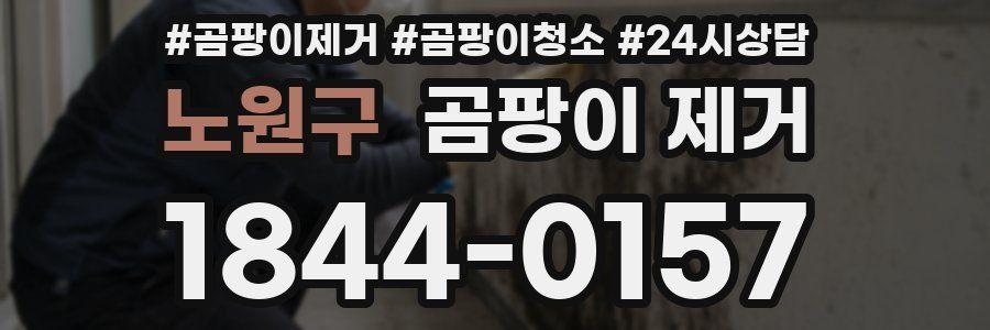 노원구 곰팡이 제거