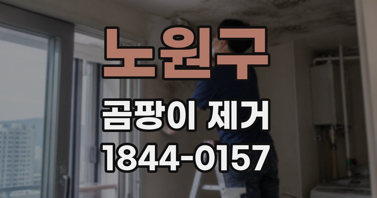 노원구 곰팡이 제거