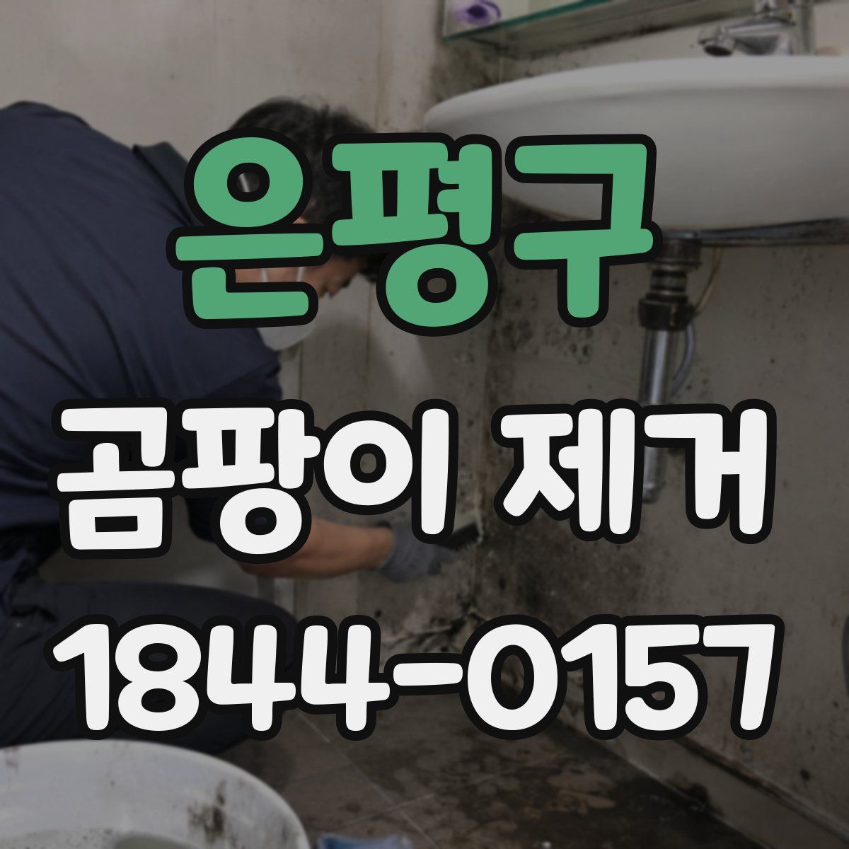 은평구 곰팡이 제거