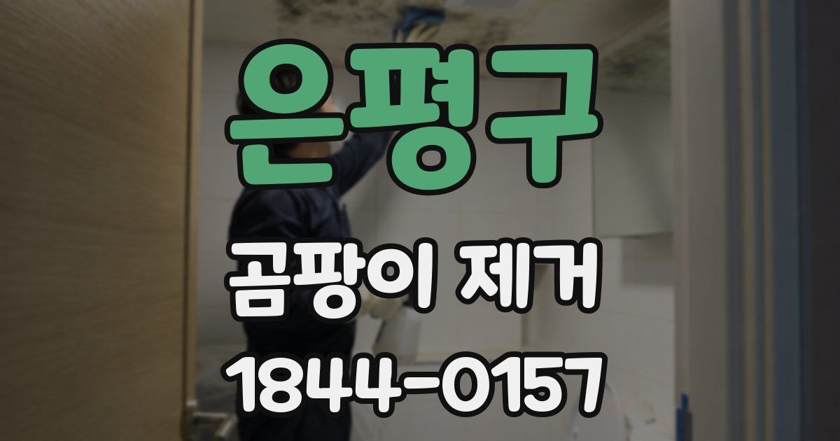 은평구 곰팡이 제거