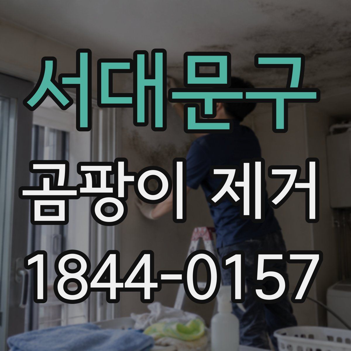 서대문구 곰팡이 제거