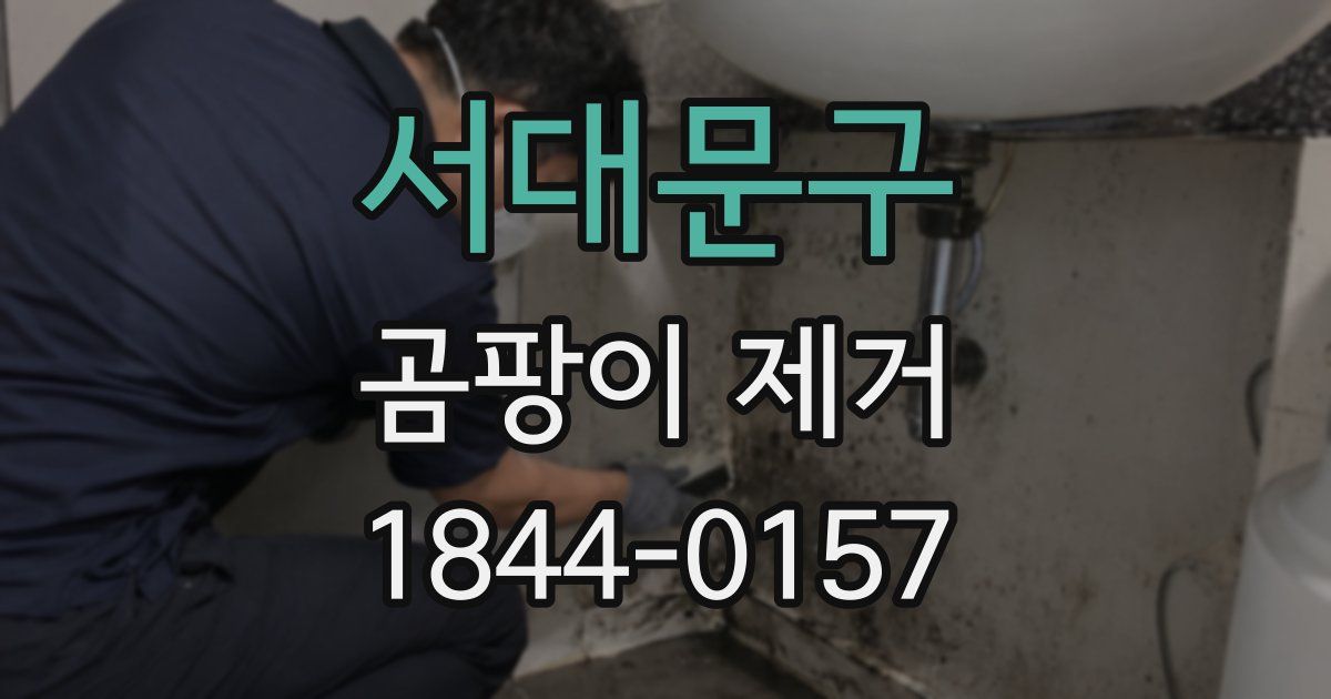 서대문구 곰팡이 제거