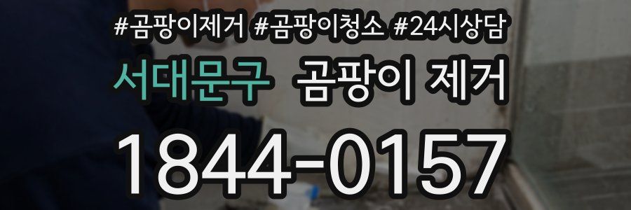 서대문구 곰팡이 제거