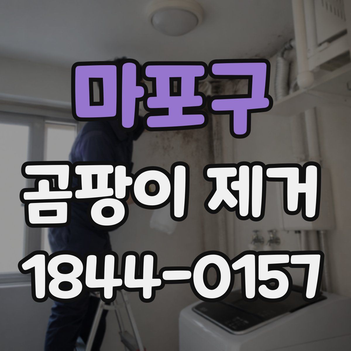 마포구 곰팡이 제거