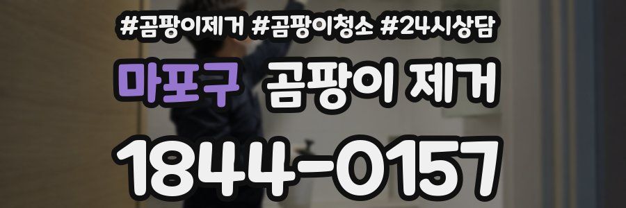 마포구 곰팡이 제거