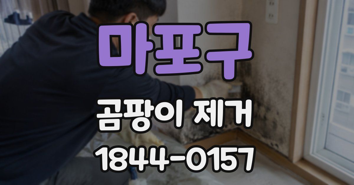 마포구 곰팡이 제거