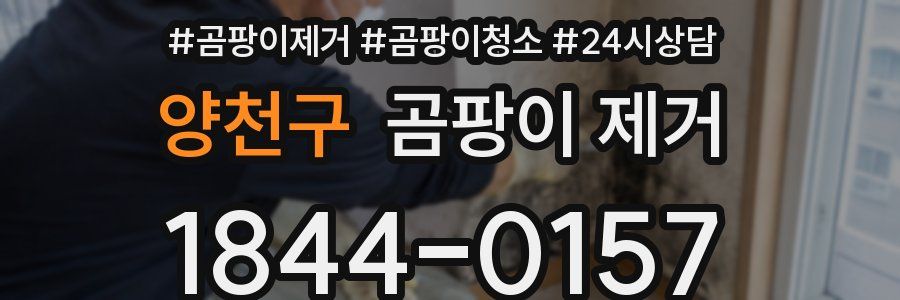 양천구 곰팡이 제거