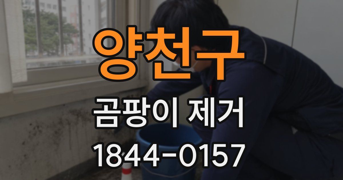 양천구 곰팡이 제거