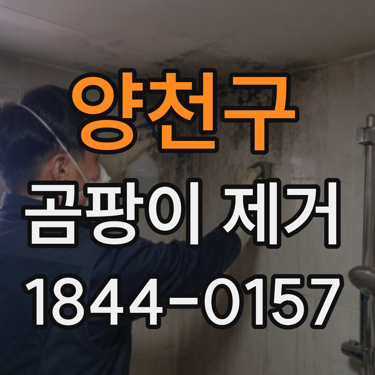 양천구 곰팡이 제거