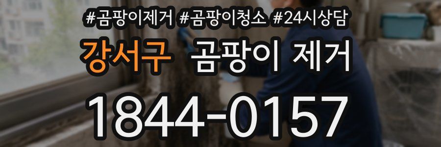 강서구 곰팡이 제거