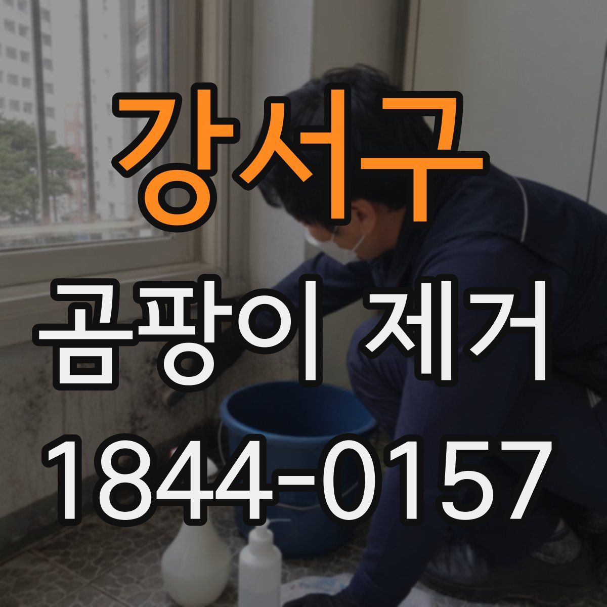 강서구 곰팡이 제거