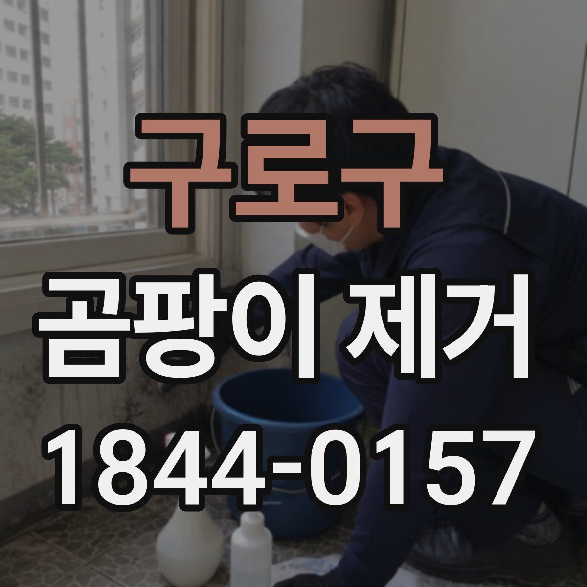 구로구 곰팡이 제거