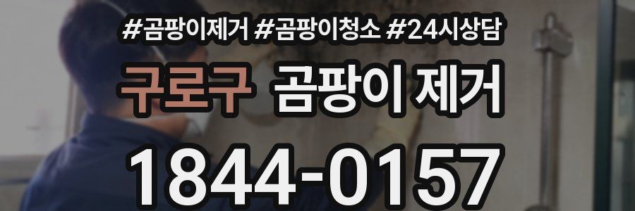 구로구 곰팡이 제거