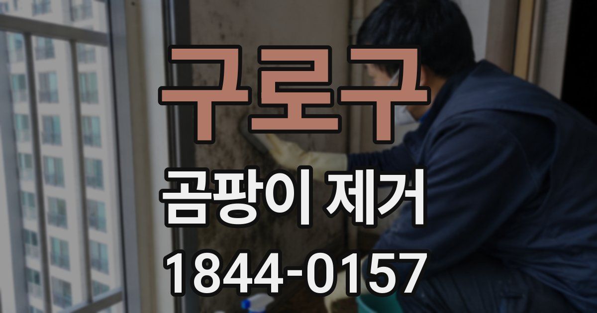 구로구 곰팡이 제거