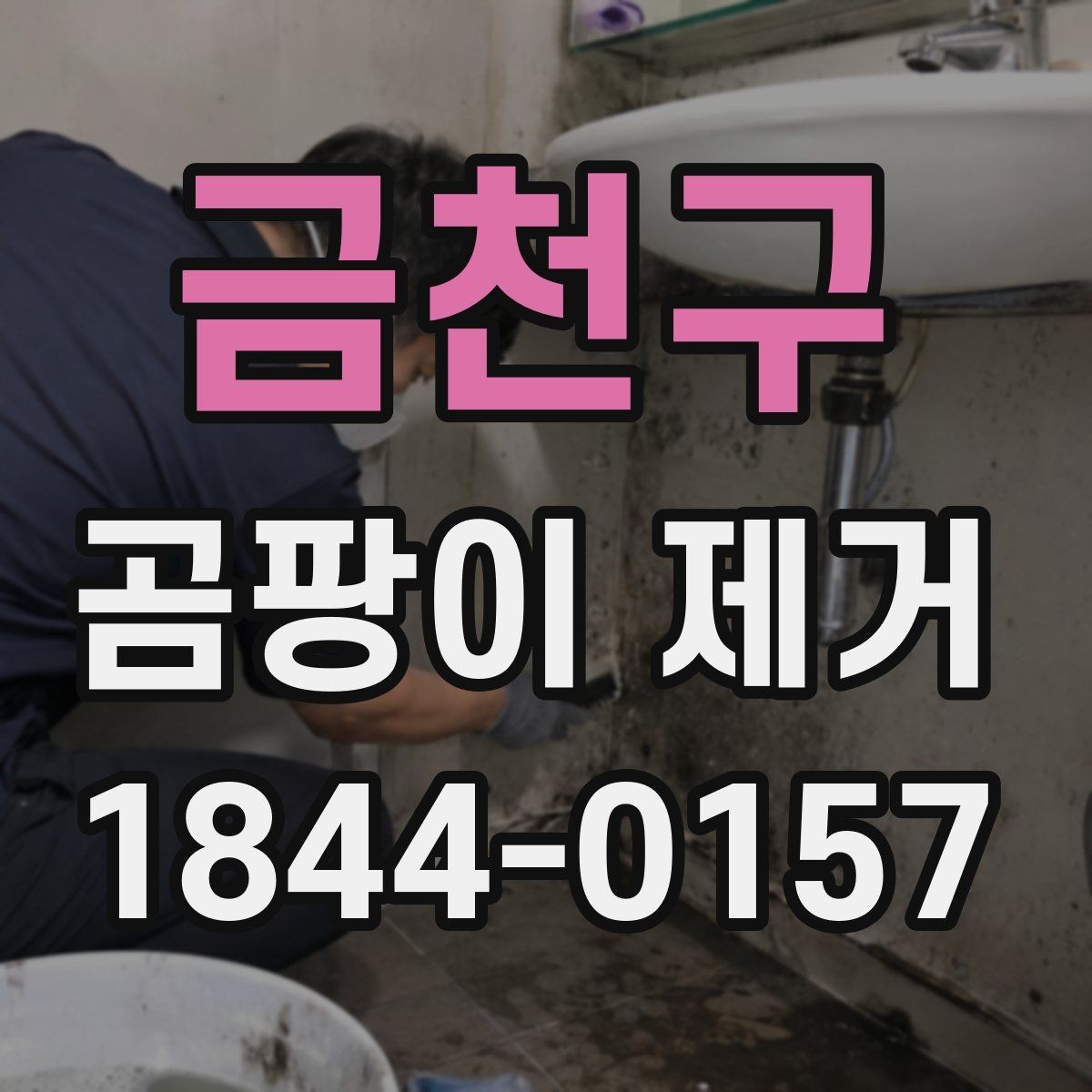 금천구 곰팡이 제거 실내 공기와 냄새를 함께 정리하는 팁