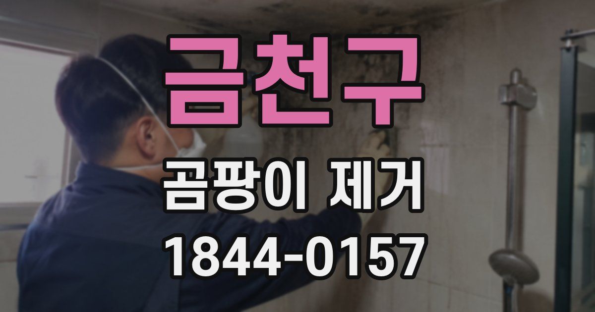 금천구 곰팡이 제거