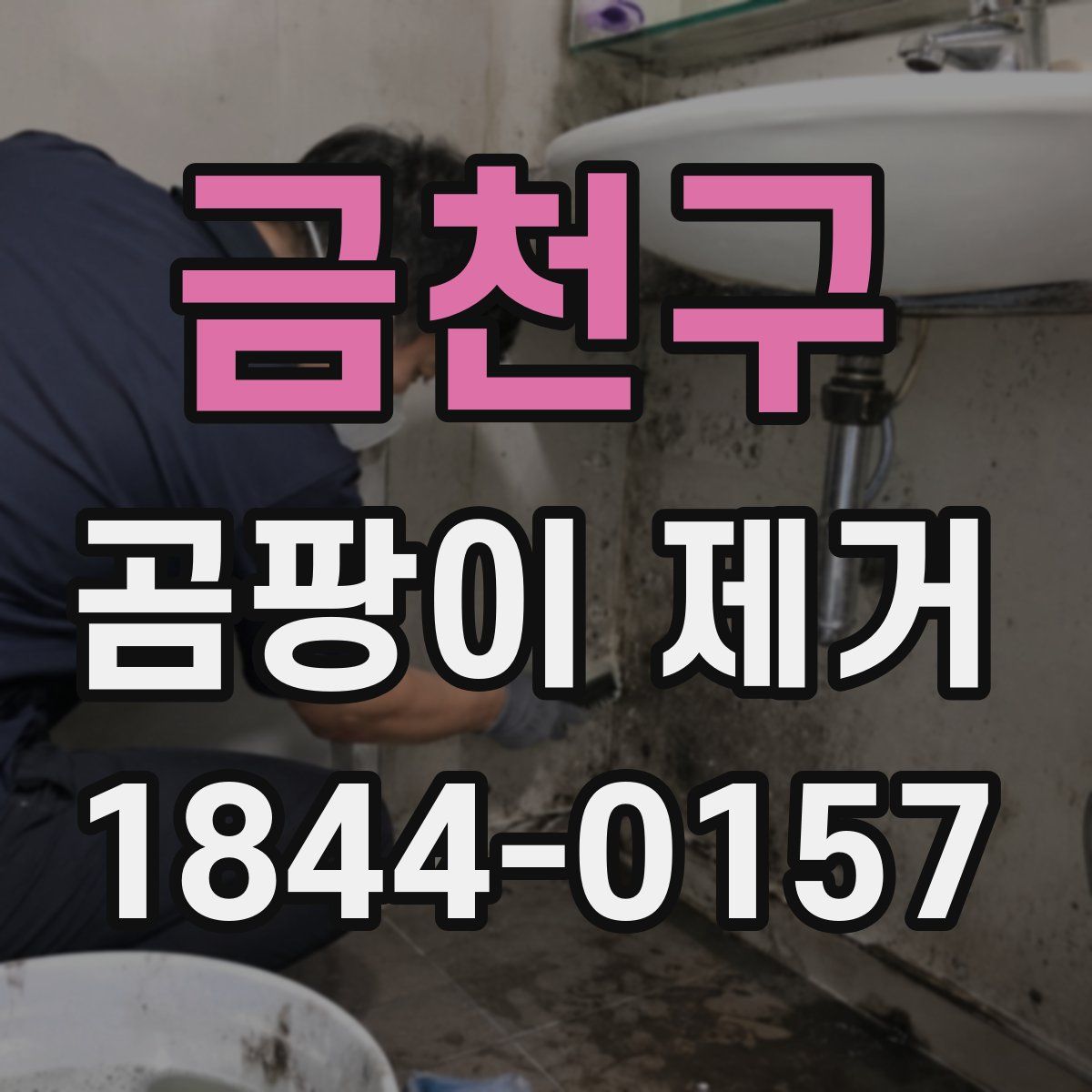 금천구 곰팡이 제거