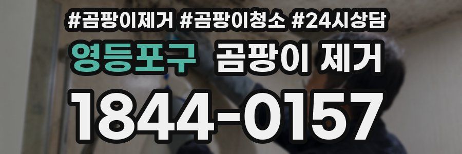 영등포구 곰팡이 제거