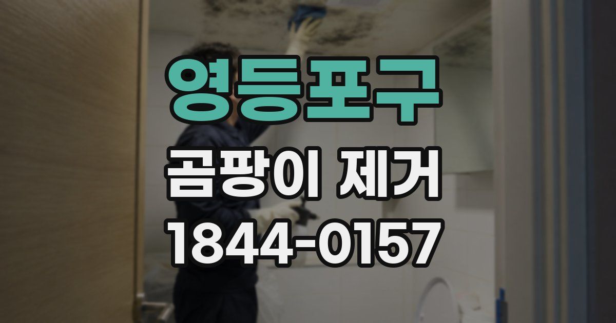 영등포구 곰팡이 제거