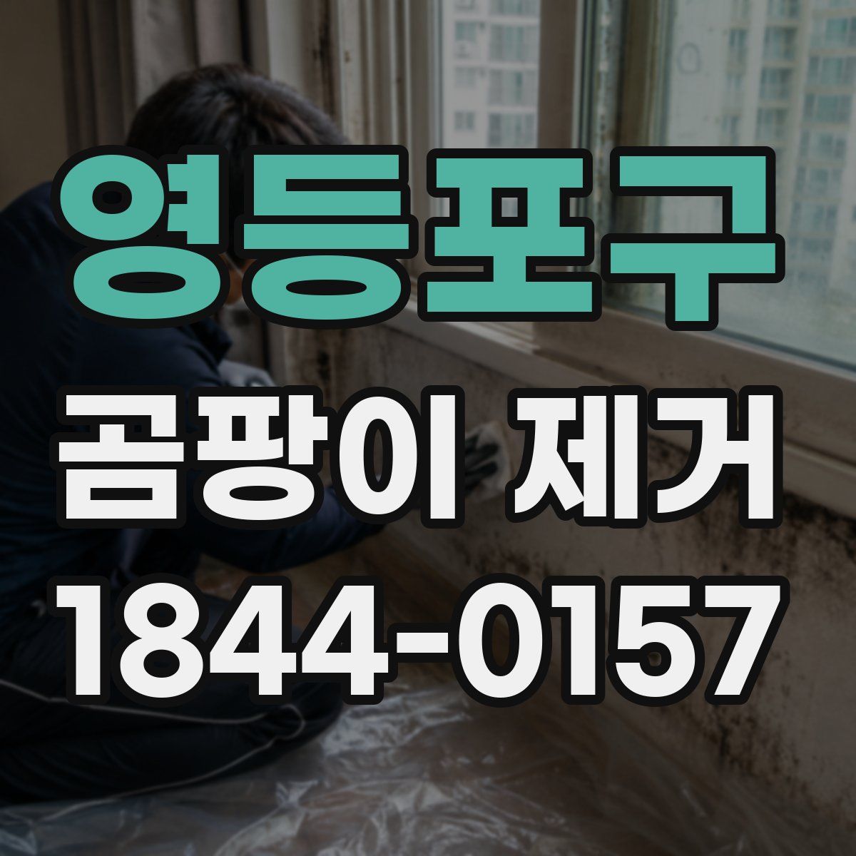 영등포구 곰팡이 제거