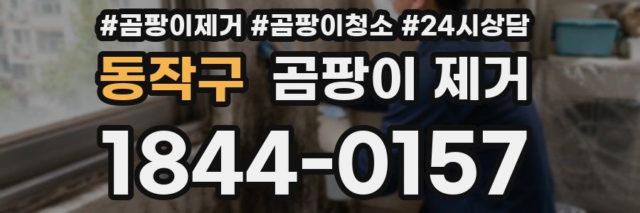 동작구 곰팡이 제거