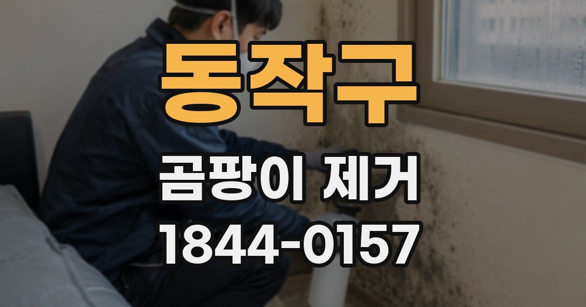 동작구 곰팡이 제거
