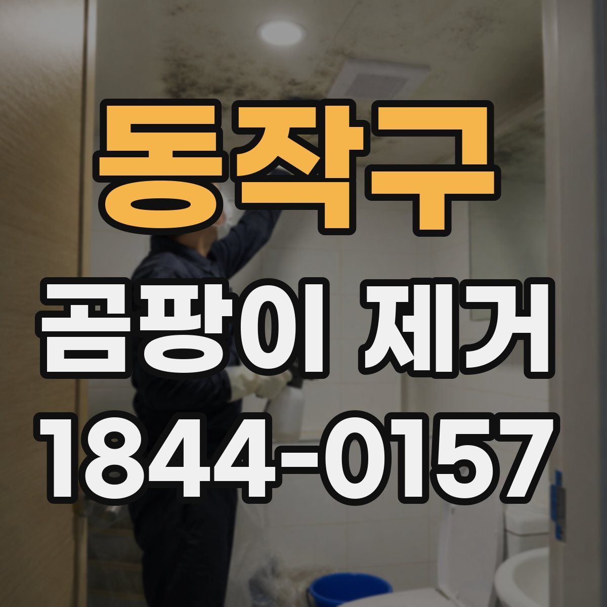 동작구 곰팡이 제거