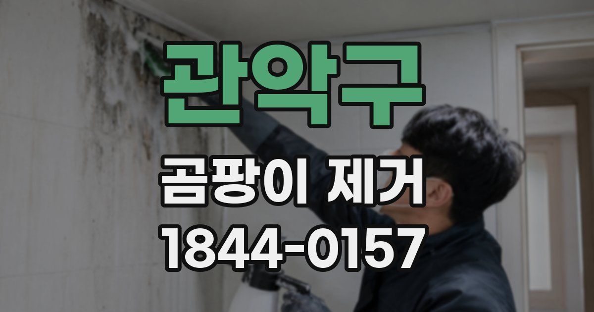 관악구 곰팡이 제거