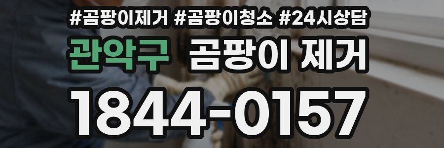 관악구 곰팡이 제거