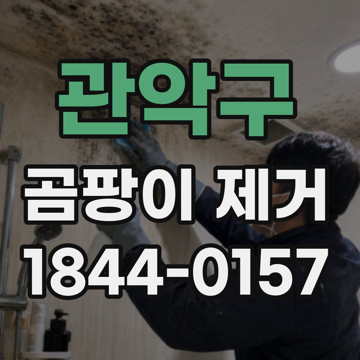 관악구 곰팡이 제거