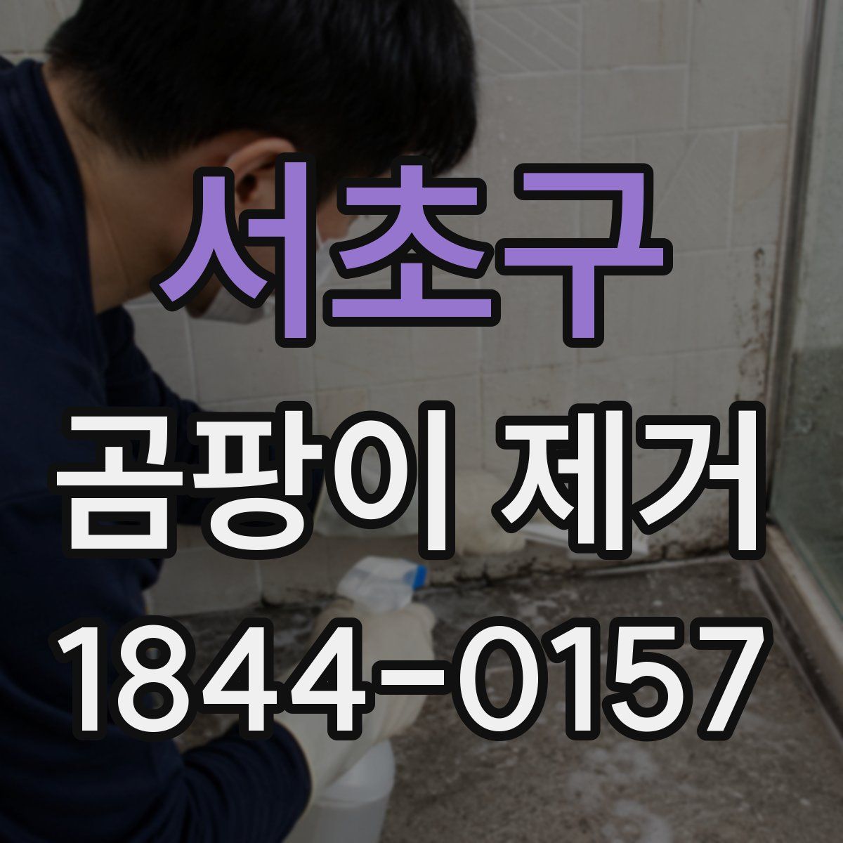 서초구 곰팡이 제거