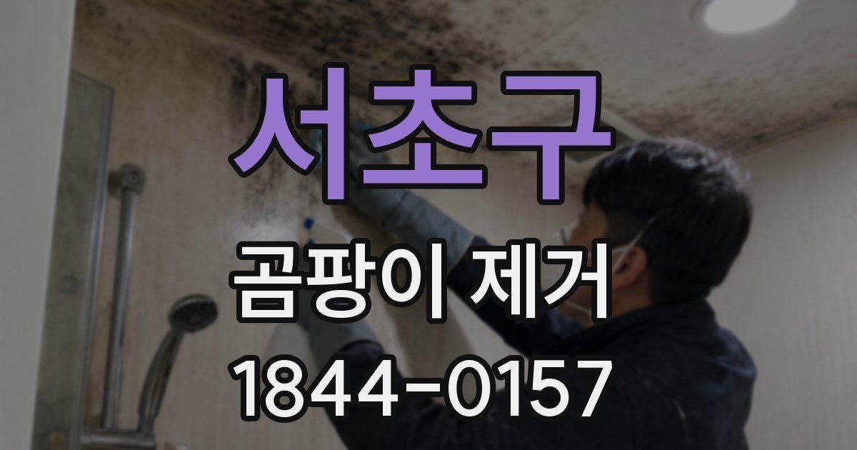 서초구 곰팡이 제거