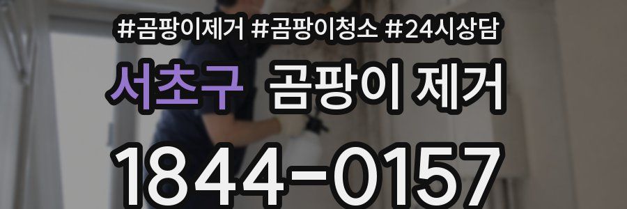 서초구 곰팡이 제거
