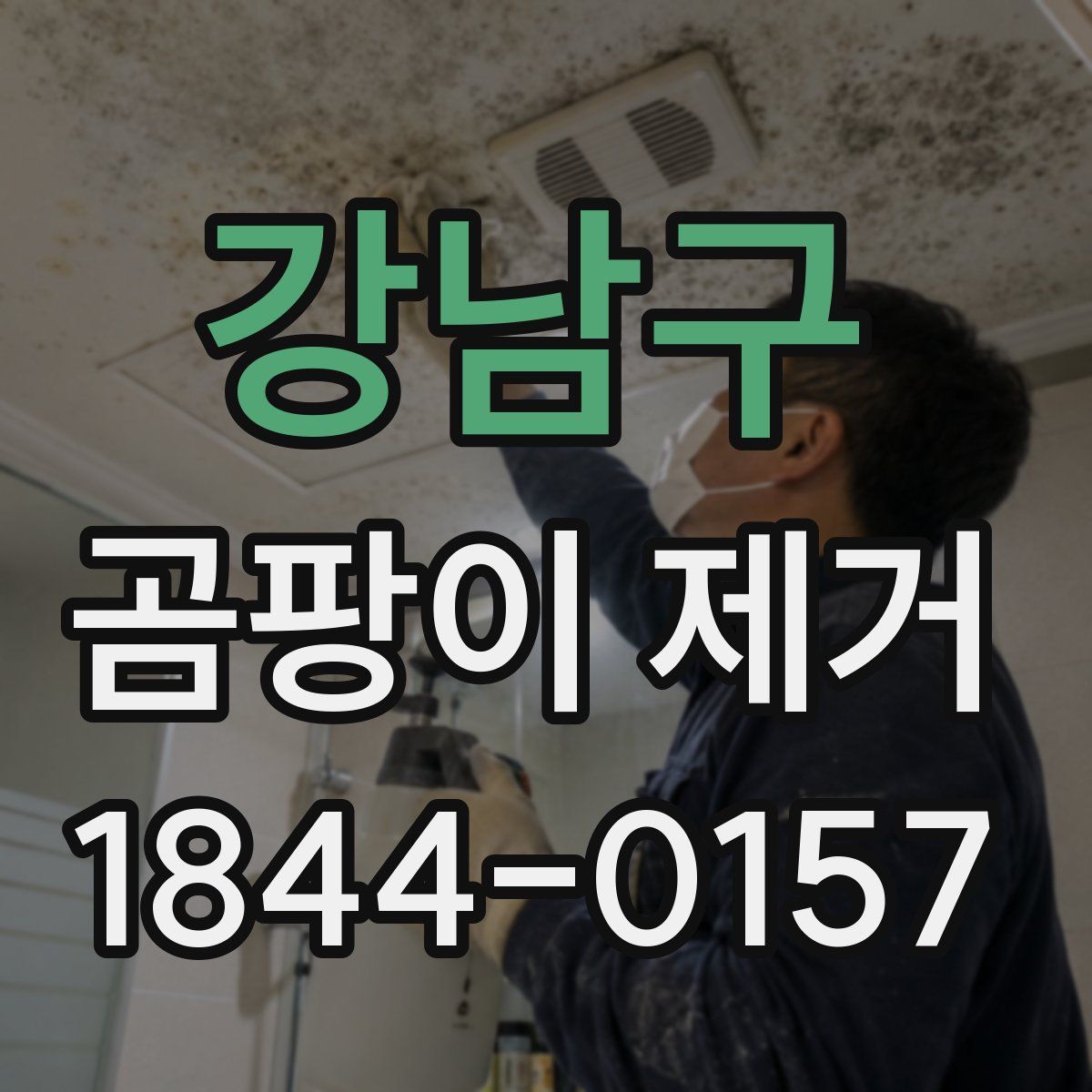 강남구 곰팡이 제거