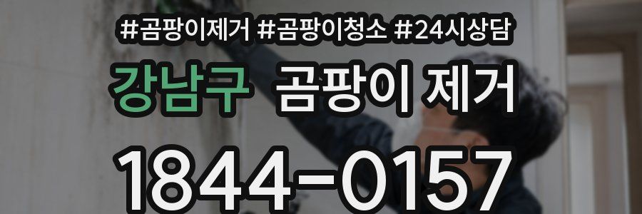 강남구 곰팡이 제거