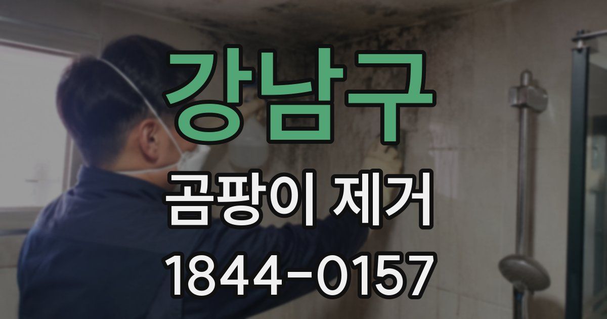 강남구 곰팡이 제거