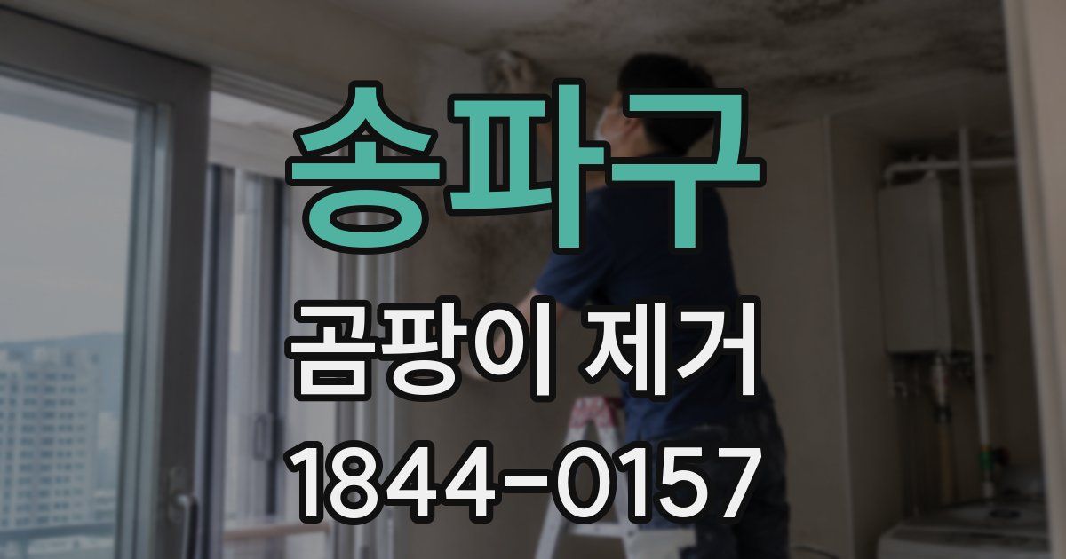 송파구 곰팡이 제거