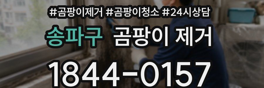 송파구 곰팡이 제거