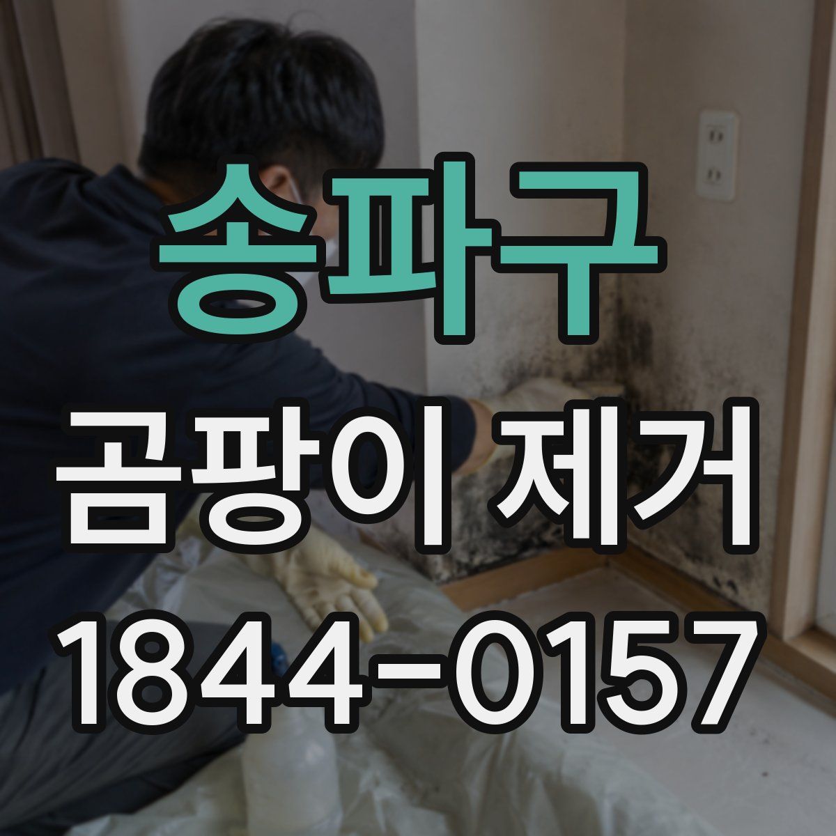 송파구 곰팡이 제거